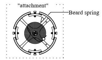 Beard Spring